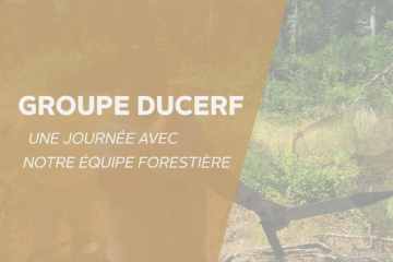 Une journée avec l'équipe forestière du groupe Ducerf