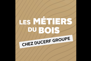 Les métiers du bois se dévoilent chez Ducerf, Nathan, Kylian, Emilie et Florian, caristes