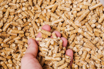 Granulé de bois : hausse des équipements, prix stables et renforcement de la souveraineté énergétique
