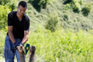 Réussir sa coupe de bois en toute sécurité