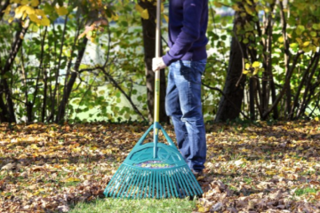 Le Balai à gazon XL : une nouvelle version encore plus ergonomique et efficace